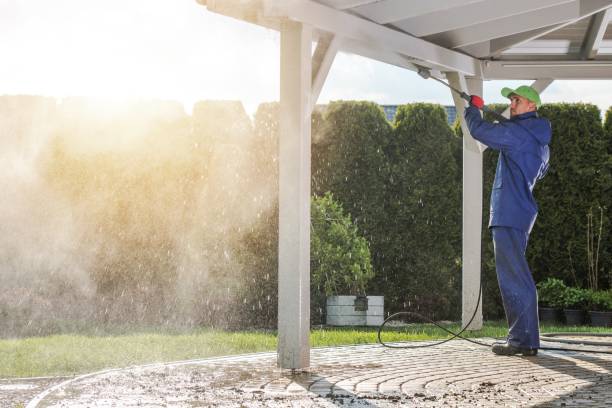 Boat and Dock Cleaning in Paxton, IL